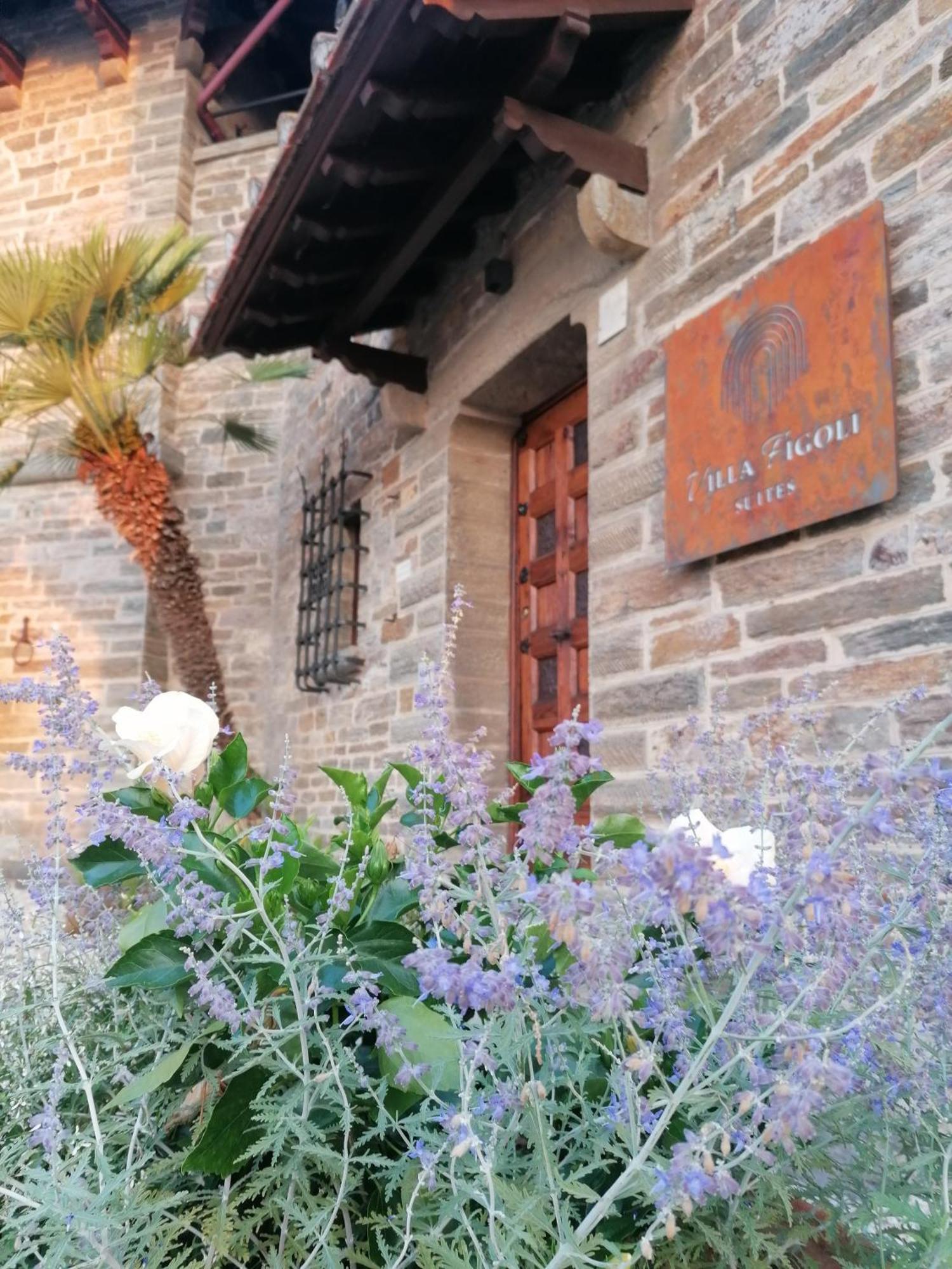 Villa Figoli Suites Arenzano Luaran gambar