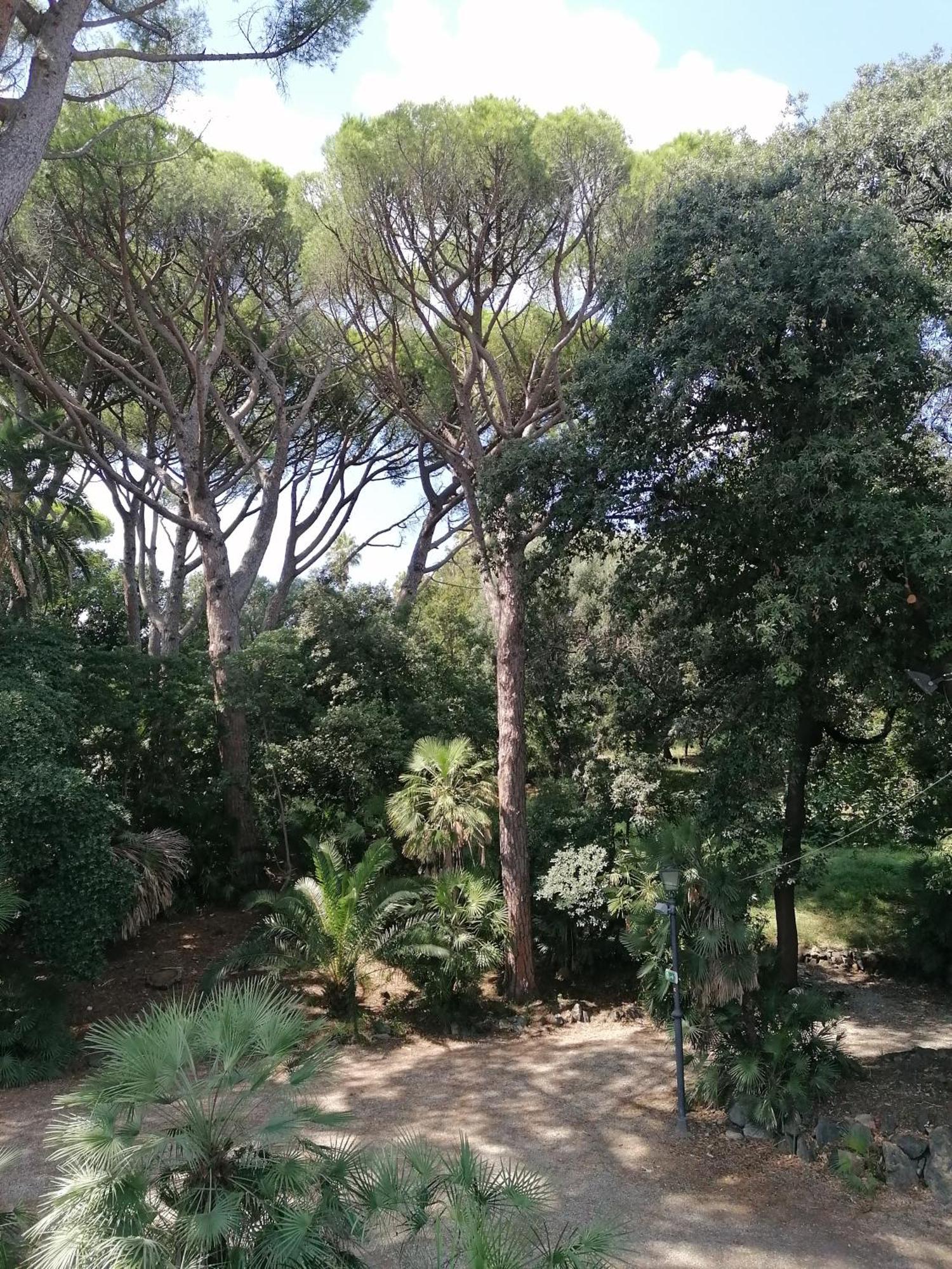 Villa Figoli Suites Arenzano Luaran gambar